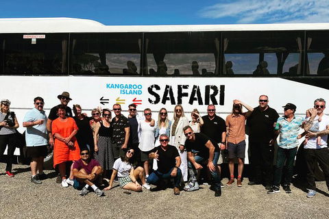 Full-Day Kangaroo Island Safari From Penneshaw - Accommodation Gladstone 4