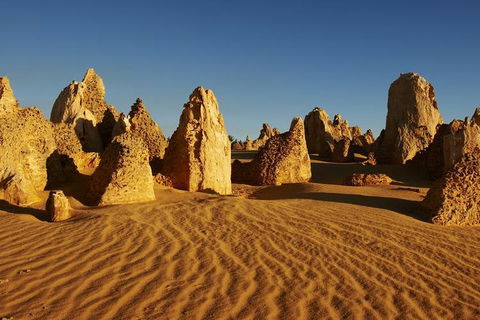 Full Day Pinnacle Desert Explorer From Perth Including Hillarys And Lancelin Sandboarding - Accommodation Gladstone 3