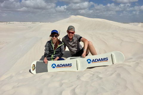 Full Day Pinnacle Desert Explorer From Perth Including Hillarys And Lancelin Sandboarding - Accommodation Gladstone 4