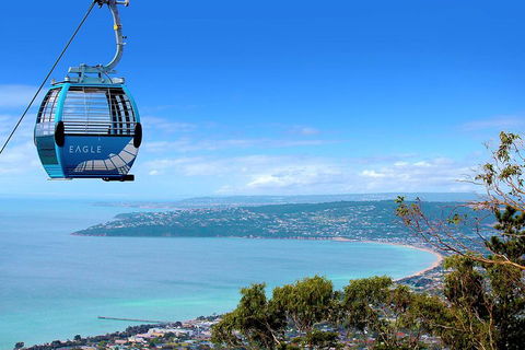 Mornington Peninsula Small Group Day Tour - Accommodation Gladstone 2