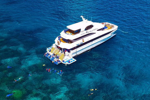 Great Barrier Reef Snorkeling And Diving Cruise From Cairns - Accommodation Gladstone 5