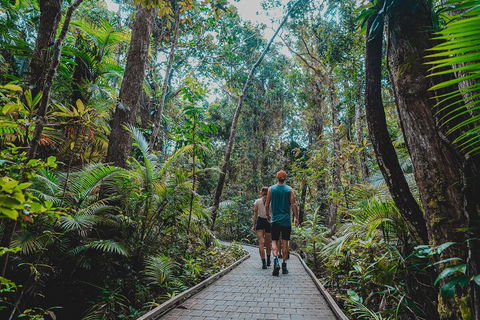 Full Day Cooktown Private Tour - Accommodation Gladstone 0