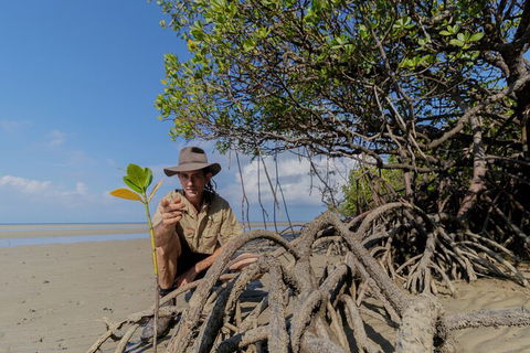 Full Day Cooktown Private Tour - Accommodation Gladstone 2