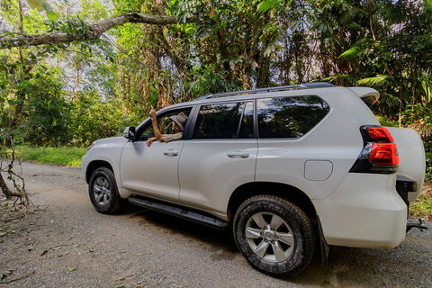 Full Day Cooktown Private Tour - Accommodation Gladstone 3