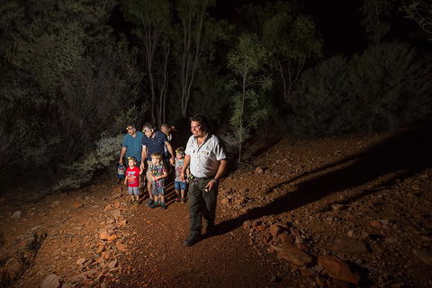 Alice Springs Desert Park Nocturnal Tour - Accommodation Gladstone 0
