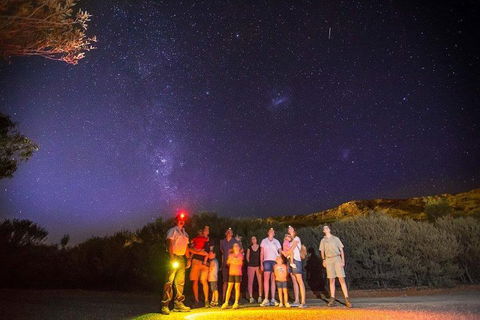 Alice Springs Desert Park Nocturnal Tour - Accommodation Gladstone 2