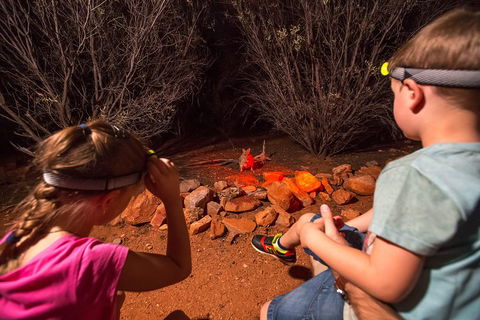 Alice Springs Desert Park Nocturnal Tour - Accommodation Gladstone 4