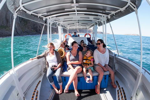 Seal Island Boat Tour From Victor Harbor - Accommodation Gladstone 1