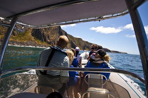 Seal Island Boat Tour From Victor Harbor - Accommodation Gladstone 2