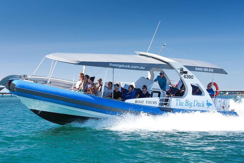 Seal Island Boat Tour From Victor Harbor - Accommodation Gladstone 3