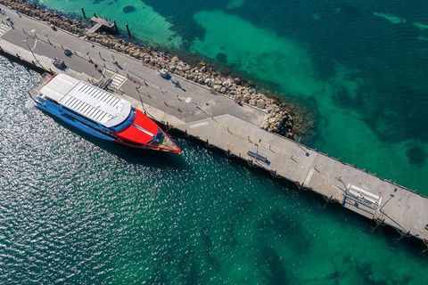 Rottnest Island Round-Trip Ferry From Perth Or Fremantle - Accommodation Gladstone 1