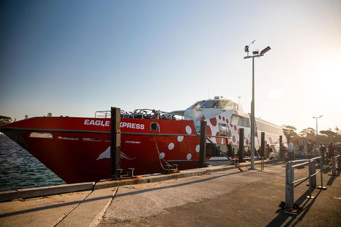 Rottnest Island Round-Trip Ferry From Perth Or Fremantle - Accommodation Gladstone 2