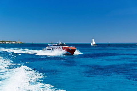 Rottnest Island Round-Trip Ferry From Perth Or Fremantle - Accommodation Gladstone 4