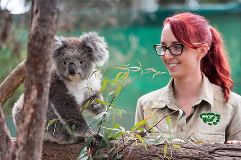 Small-Group Phillip Island Penguin Parade Day Tour From Melbourne - Accommodation Gladstone 0