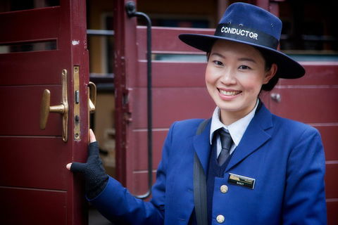 Puffing Billy, Moonlit Sanctuary & Penguins Day Tour - Accommodation Gladstone 1