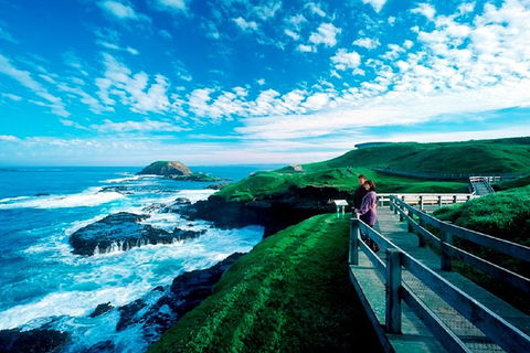 Puffing Billy, Moonlit Sanctuary & Penguins Day Tour - Accommodation Gladstone 2