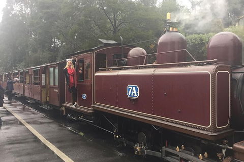 Puffing Billy, Moonlit Sanctuary & Penguins Day Tour - Accommodation Gladstone 4