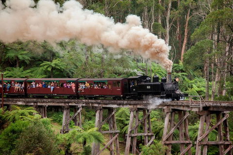 Melbourne Combo: Great Ocean Road, Puffing Billy, Moonlit Sanctuary & Penguins - Accommodation Gladstone 1