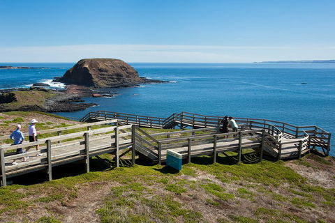 Melbourne Combo: Great Ocean Road, Puffing Billy, Moonlit Sanctuary & Penguins - Accommodation Gladstone 5