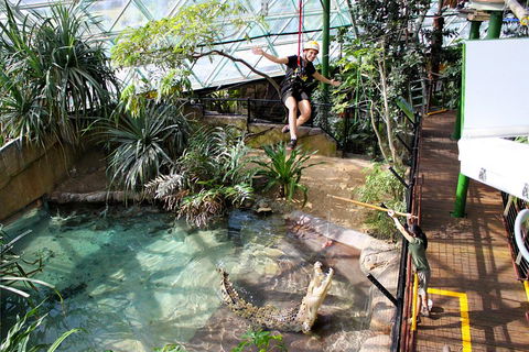 Cairns ZOOM And Wildlife Dome - Accommodation Gladstone 5