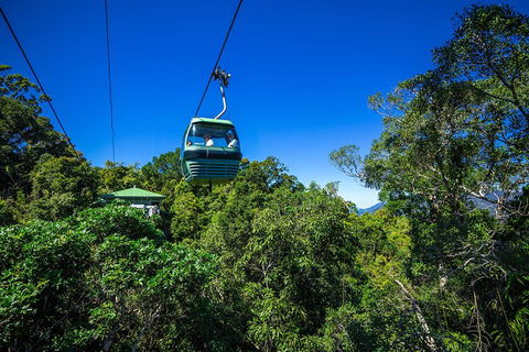 Classic Kuranda By Skyrail And Scenic Railway Including Rainforestation, Koala And Wildlife Park And Pamagirri Aboriginal Experi - Accommodation Gladstone 0