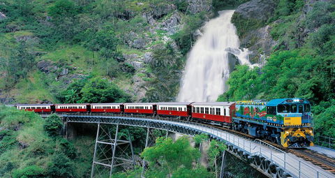 Classic Kuranda By Skyrail And Scenic Railway Including Rainforestation, Koala And Wildlife Park And Pamagirri Aboriginal Experi - Accommodation Gladstone 1