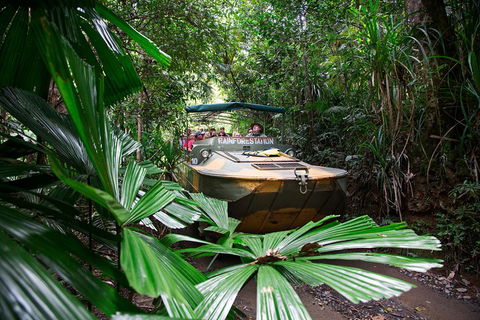 Classic Kuranda By Skyrail And Scenic Railway Including Rainforestation, Koala And Wildlife Park And Pamagirri Aboriginal Experi - Accommodation Gladstone 4