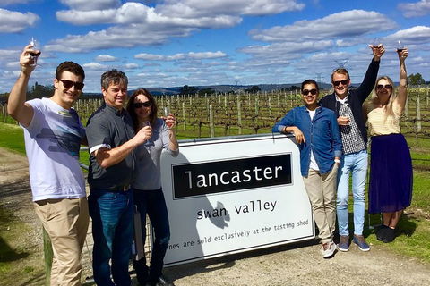 Swan Valley Tour From Perth: Wine, Beer And Chocolate Tastings - Accommodation Gladstone 1