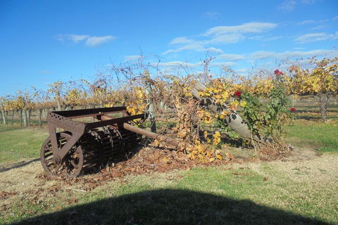 Swan Valley Tour From Perth: Wine, Beer And Chocolate Tastings - Accommodation Gladstone 3