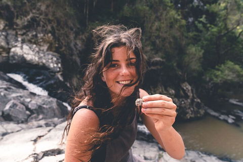 Springbrook AndTamborine Rainforest Tour Incl Natural Bridge And Glow Worm Cave - Accommodation Gladstone 1