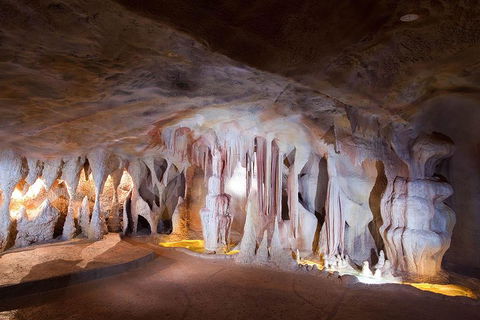Springbrook AndTamborine Rainforest Tour Incl Natural Bridge And Glow Worm Cave - Accommodation Gladstone 4