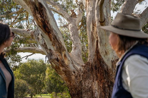NEW TOUR - Kangaroo Island Road To Recovery Tour (1 Day/1 Night) - Accommodation Gladstone 0