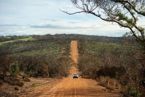 NEW TOUR - Kangaroo Island Road To Recovery Tour (1 Day/1 Night) - Accommodation Gladstone 2