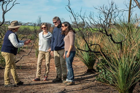NEW TOUR - Kangaroo Island Road To Recovery Tour (1 Day/1 Night) - Accommodation Gladstone 4