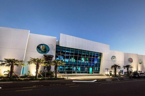 Cairns Aquarium Admission Ticket - Accommodation Gladstone 4