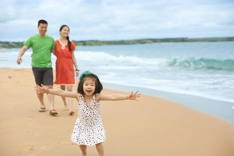 Phillip Island Penguin Parade Day Trip With Koala Conservation Reserve Visit - Accommodation Gladstone 5