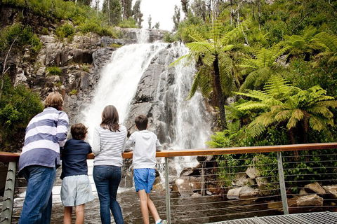 Melbourne Snow Trip To Lake Mountain With Chocolates Visit To A Waterfall - Accommodation Gladstone 3