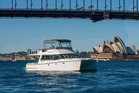 Vivid 90-Minute Sydney Harbour Small Group Catamaran Cruise - Accommodation Gladstone 2