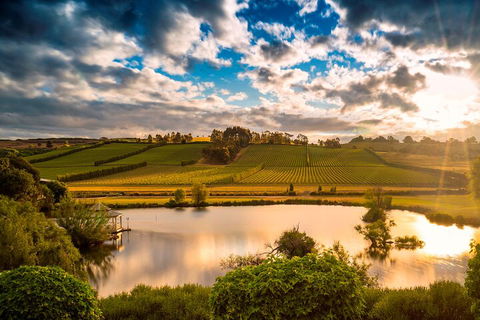 Josef Chromy Wines Winery Tour Including Tasting And Lunch - Accommodation Gladstone 3