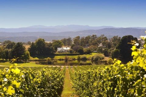 Josef Chromy Wines Winery Tour Including Tasting And Lunch - Accommodation Gladstone 4
