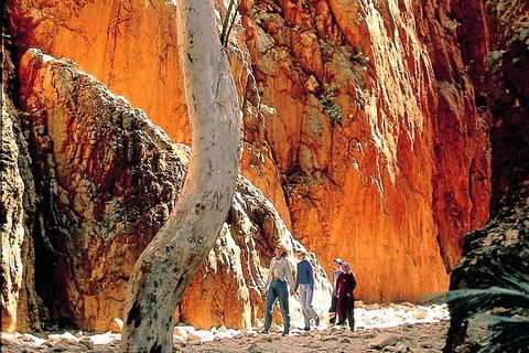 West MacDonnell Ranges Day Trip From Alice Springs - Accommodation Gladstone 3