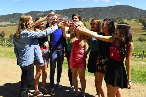 Hunter Valley Wine Tour From Sydney Incl Lunch, Cheese, Chocolate And Distillery - Accommodation Gladstone 3