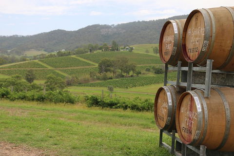 Hunter Valley Wine Tour From Sydney Incl Lunch, Cheese, Chocolate And Distillery - Accommodation Gladstone 5