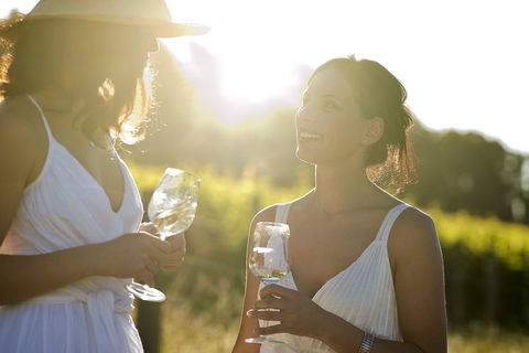 Mornington Peninsula Farm Produce Wine And Cider Tour - Accommodation Gladstone 2