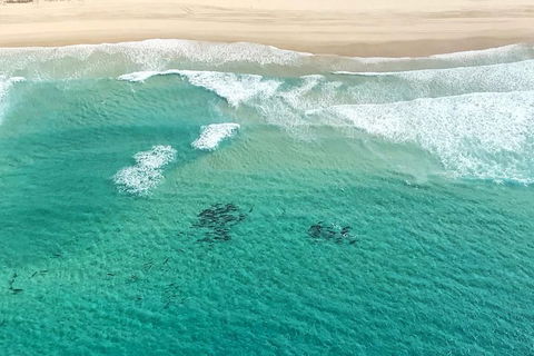 Coastal Helicopter Shared Flight - 20 Minutes - Accommodation Gladstone 4