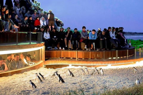 Great Ocean Road & Phillip Island - 3 Days, 2 Nights - Accommodation Gladstone 0