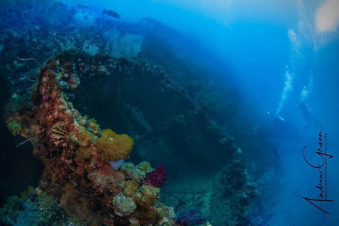Scuba Dive The S.S. Yongala Wreck On The Great Barrier Reef. - Accommodation Gladstone 3
