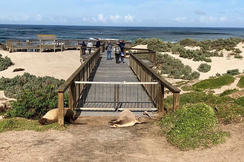 Kangaroo Island 4WD Tour - Best Of KI - Accommodation Gladstone 2