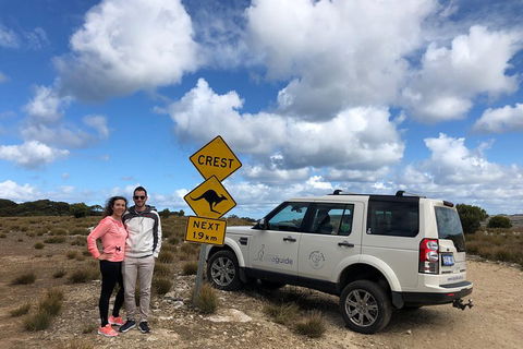 Kangaroo Island 4WD Tour - Best Of KI - Accommodation Gladstone 5