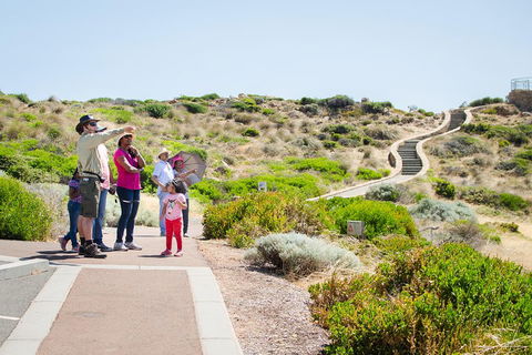 Margaret River Coastal And Wildlife Eco Trip From Busselton Or Dunsborough - Accommodation Gladstone 0